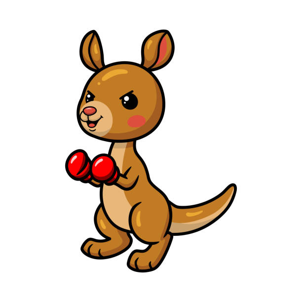 Cute little boxer kangaroo cartoon Vector illustration of Cute little boxer kangaroo cartoon kangaroos fighting stock illustrations