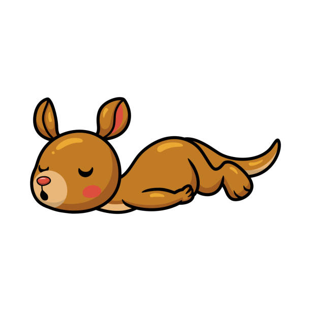 illustrations, cliparts, dessins animés et icônes de mignon petit kangourou dessin animé dormant - kangaroo animal humor fun