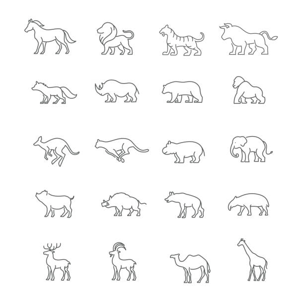 ilustraciones, imágenes clip art, dibujos animados e iconos de stock de animal salvaje iconos - herbivorous animals in the wild camel hoofed mammal