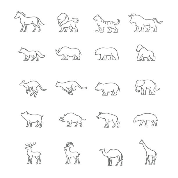 개척시대의 짐승 아이콘 - elephant animal isolated white background stock illustrations