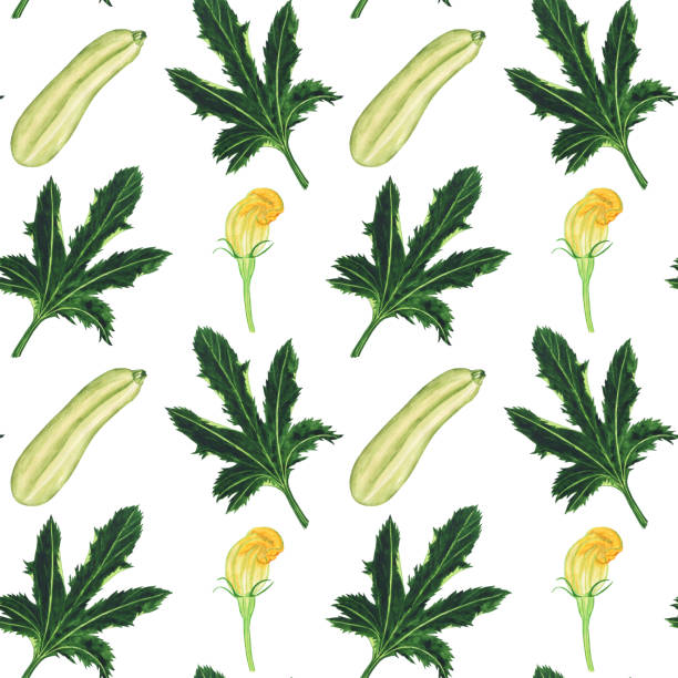 ilustraciones, imágenes clip art, dibujos animados e iconos de stock de calabacín con flor y hoja en patrón sin costuras sobre fondo blanco. ilustración de dibujo a mano en acuarela. - squash blossom