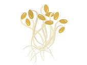 Illustration of a bundle of soybean sprouts.