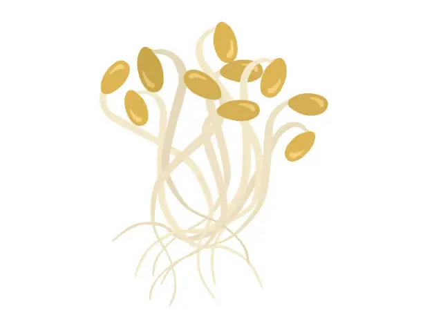 Vector illustration of Illustration of a bundle of soybean sprouts.