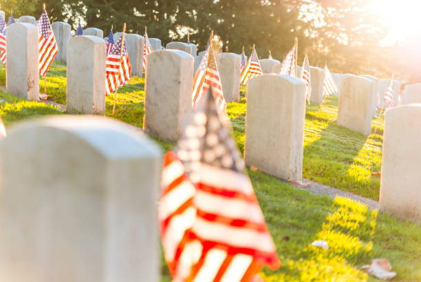 veterans day,scene of military graveyard landscape with a flag on autumn.  for editorial. stock photo
