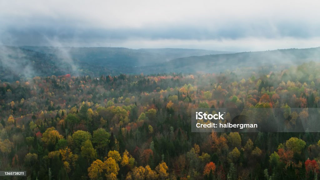 Woodlands in Rural Vermont - Drone Shot Drone shot of woodland in Caledonia County, Vermont on a rainy day in Fall, looking down on mountains covered in an autumnal forest receding into the misty distance. 4K Resolution Stock Photo