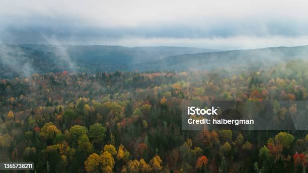 Woodlands In Rural Vermont Drone Shot Stock Photo - Download Image Now - 4K Resolution, Above, Aerial View