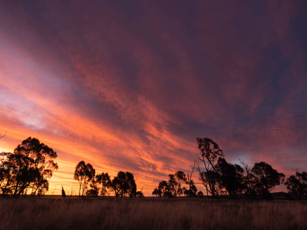 istock Dramatic country sky full of vibrant clouds 1365739026