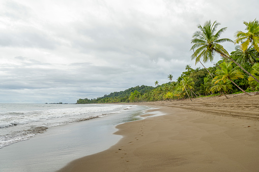 Country: Costa Rica
Location: Corcovado National Park