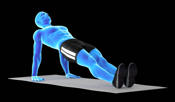 3D illustration of a fit man, doing reverse plank exercise. Muscles in Highlight. Great to be used in medicine works and health. Isolated on a black background.
