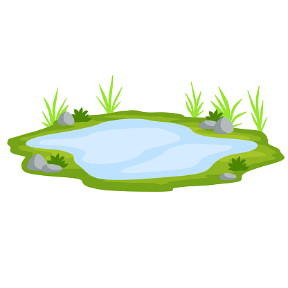 Pond and swamp, lake. Landscape with grass, stones. Platform and ground. Element of nature and forests and water. Background for illustration. Flat cartoon