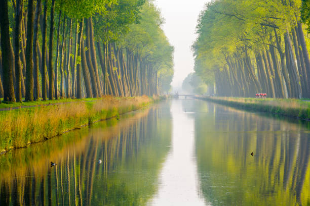 Damme Canal in the Bruges area of Belgium
