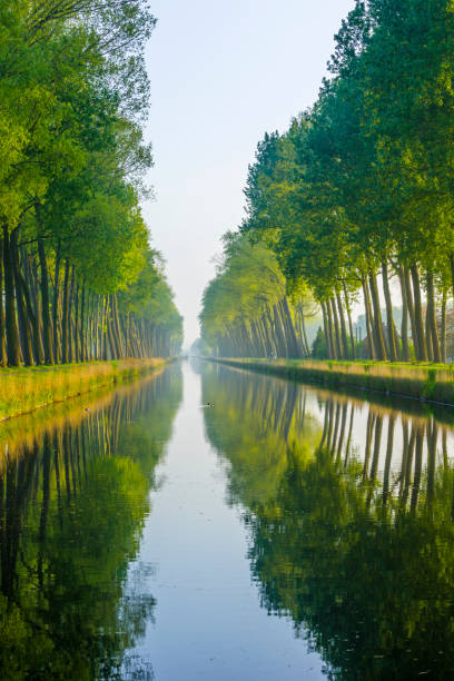 Damme Canal in the Bruges area of Belgium
