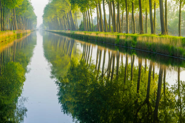 Damme Canal in the Bruges area of Belgium
