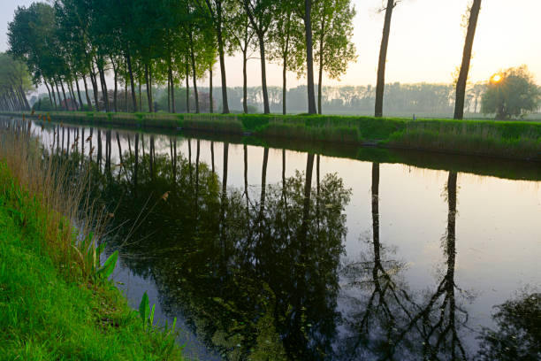 Damme Canal in the Bruges area of Belgium