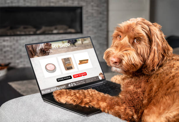 Labradoodle dog ordering online by internet for home delivery. Paws on laptop with a fake pet food shopping product selection. Concept for pets using technology, or animals imitating humans. Selective focus. animal care equipment photos stock pictures, royalty-free photos & images