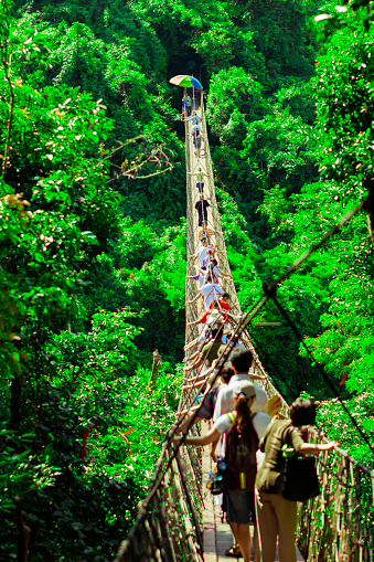 Suspension bridge in Sanya Forest Park in Hainan, people on the bridge