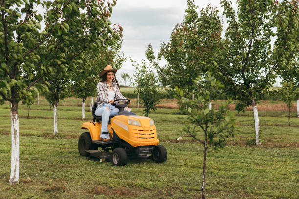 woman farmer outdoor woman driving lawn mower in orchard garden tractor stock pictures, royalty-free photos & images