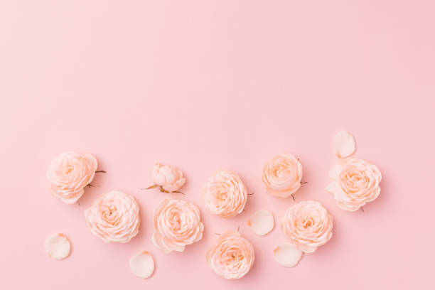 istock Mother’s Day flower flat lay on pink background. Top view composition 1365758883