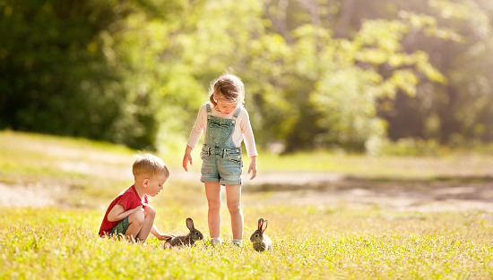 A boy and a girl are playing with rabbits in a sunny glade