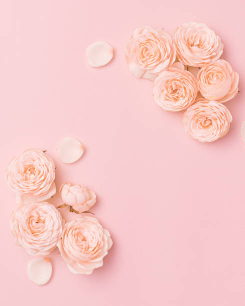 Mother’s Day flower flat lay on pink background. Top view composition