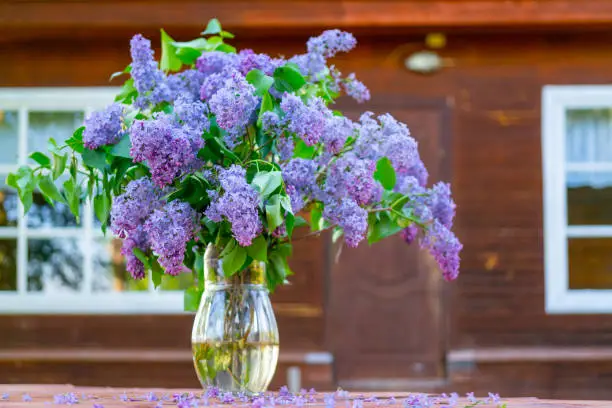 A bouquet of beautiful lilacs in a glass vase stands on a wooden table. Wooden cottage in the forest.