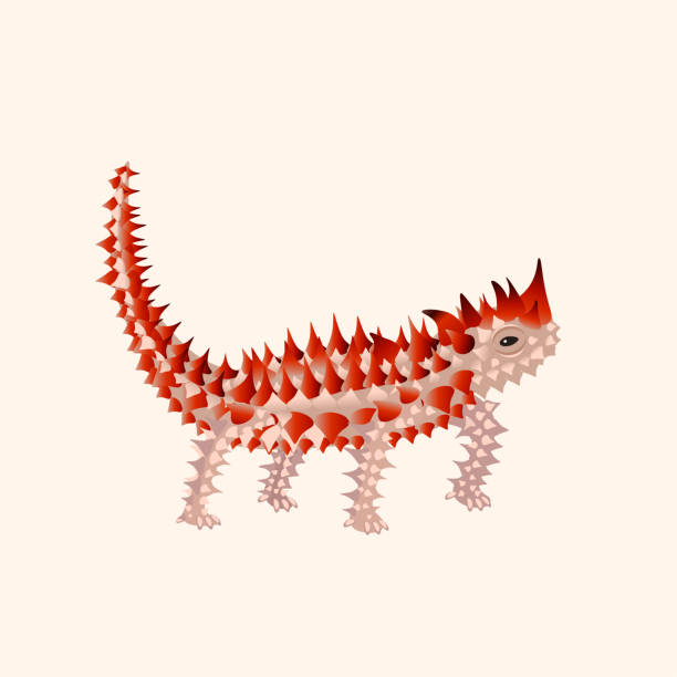 モロッホ・ホリダス、オーストラリアのトカゲ。白い背景に分離されたベクターイラスト。 - thorny devil lizard点のイラスト素材／クリップアート素材／マンガ素材／アイコン素材