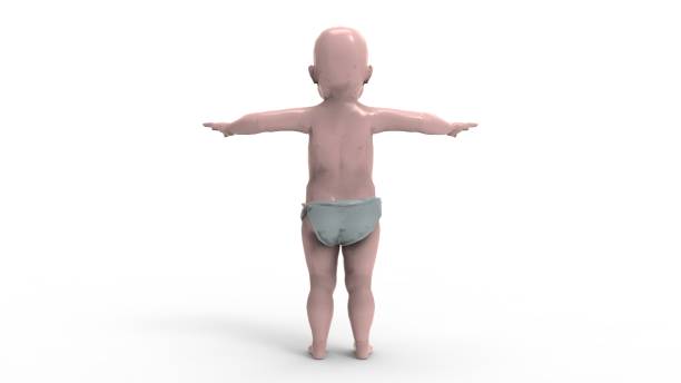 3d rendering of a baby isolated in white studio background