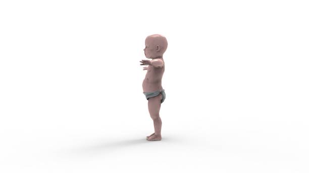 istock 3d rendering of a baby isolated in white studio background 1365769433