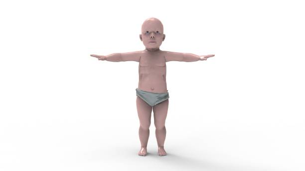 istock 3d rendering of a baby isolated in white studio background 1365769434