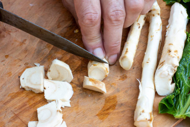 칼을 가진 나무 판에 여러 고추냉이 뿌리 - horseradish 뉴스 사진 이미지