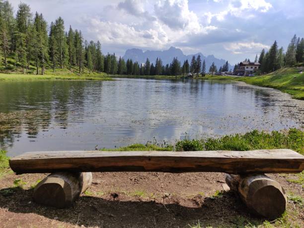 istock Wooden bench overlooking the lake 1365772978