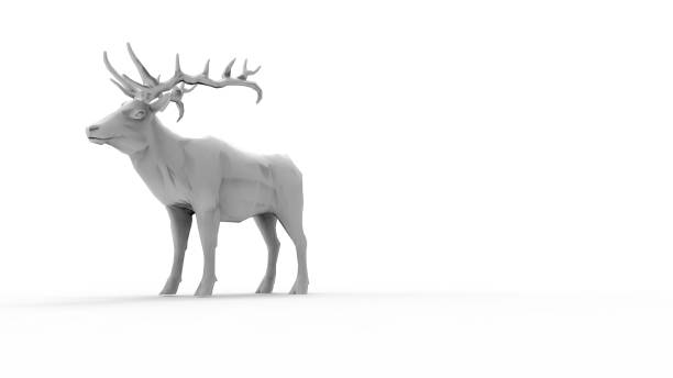 istock 3d rendering of a male deer isolated in white background 1365773231