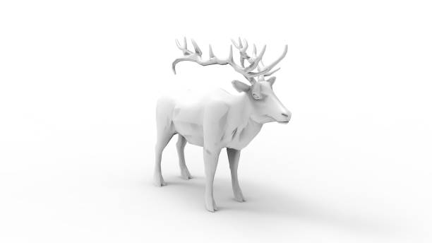 istock 3d rendering of a male deer isolated in white background 1365773232