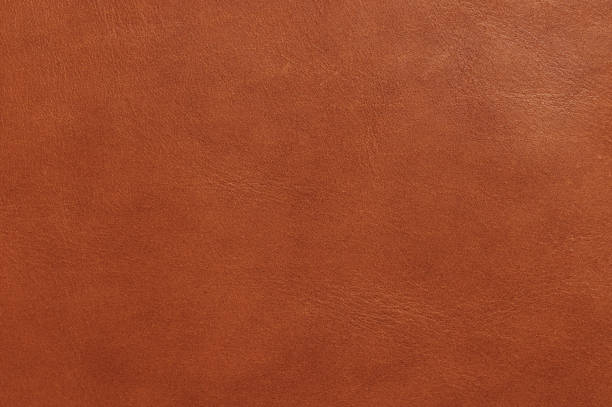 Brown color leather surface Brown color leather surface. Blank decorative cover brown university stock pictures, royalty-free photos & images