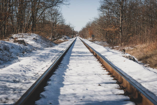 istock Long railroad tracks in a winter, scene from Croatia 1365776596