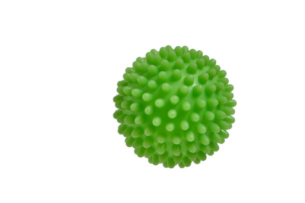 istock Green prickly ball on a white background. 1365780329
