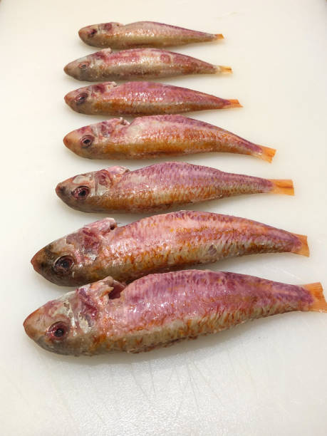 istock Raw red mullet fillets close-up on white background 1365783347