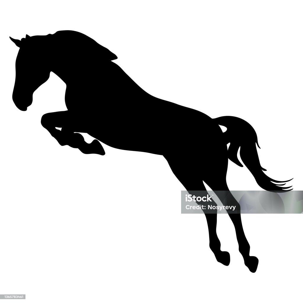 Jumping Outline Jumping Horse Silhouette Vector Illustration Stock Illustration ...