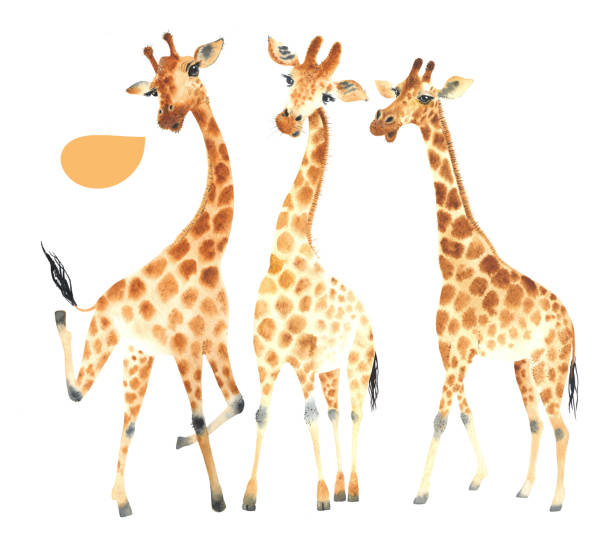 A company of funny and cute giraffes with speech buble. Watercolor Clipart Set isolated on white background A company of funny and cute giraffes for your amazing projects. Watercolor Clipart Set isolated on white background buble stock illustrations