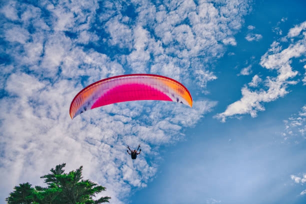 istock paraglider  / summer / sports / action / glide / holiday 1365789375