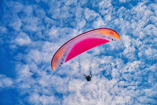 Looking at an unknown paraglider glides through the 