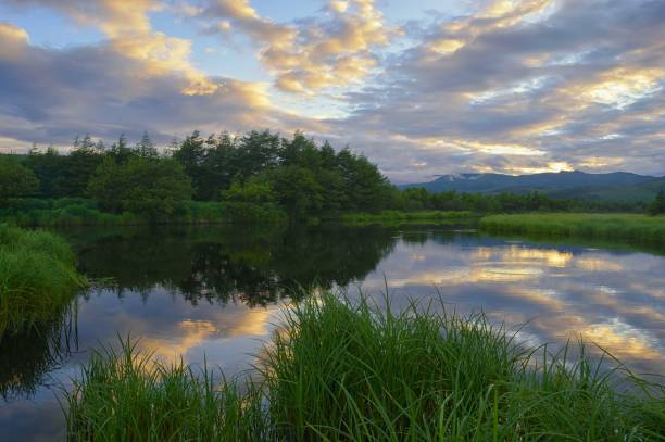 istock Untouched nature, peace and tranquility on the taiga river at sunset. 1365790056