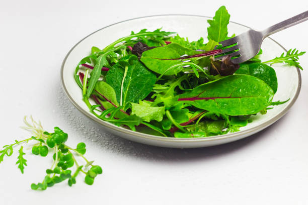 comer ensalada fresca de remolacha, lechuga, espinacas, follaje de rúcula y rábano microverde. mangold o acelgas, rúcula, lechuga y brotes de rábano daikon. - beet green fotografías e imágenes de stock