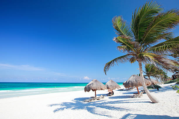 bella spiaggia dei caraibi - messico foto e immagini stock