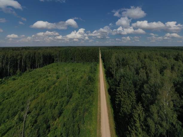 istock Summer gravel road in forest, aerial view 1365807086