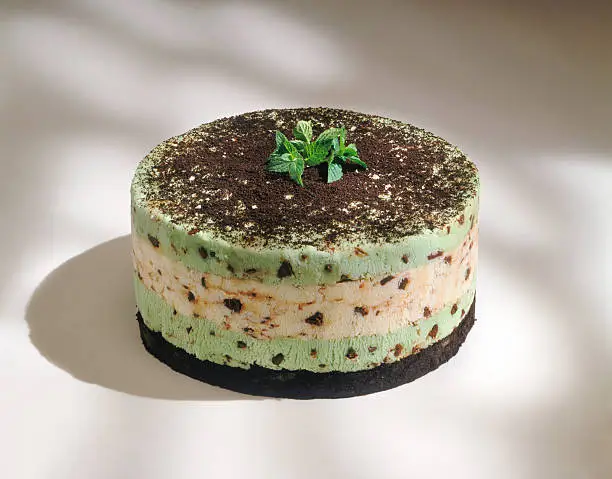 Photo of Chocolate Chip Mint Cake