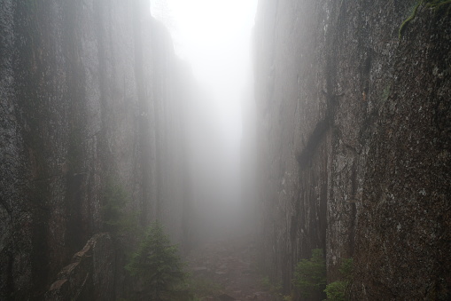 A very misty fairy tale like canyon in the beautiful national park Skuleskogen in Sweden.