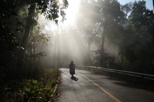 байкер на туманной дороге - mae hong son province стоковые фото и изображения