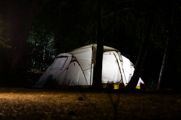istock Glowing camping tent in the wood. 1365820395