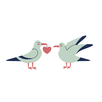 Loving couple of cute sea gulls. Albatross, wild bird. Vector illustration for valentine's day